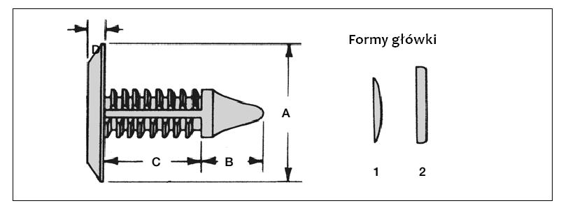 spinka żebrowana, bhjanecki.pl
