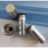 Nitonakrętki M6 z uszczelką zamknięte ALS3T-610-4,2BS, bhjanecki.pl