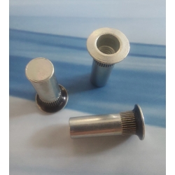 Nitonakrętki zamknięte M4 z uszczelnieniem PVC ALS001BS, bhjanecki.pl