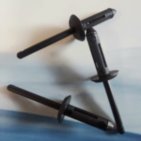 Plastikowe nity zrywalne w kolorze czarnym 27021030, bhjanecki.pl